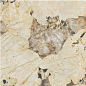 AFXM Marvel Desert Soul Lappato 120x120 Atlas Concorde