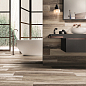 SHINE BEIGE RET. 20x120 Cerdomus