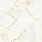 PF60017238 Supreme Hedonism Golden Spider Lux 3D R 60x120 Flaviker