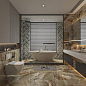 Agate Lumiere Polished 60x120 ITC