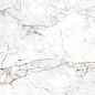 Crown Carving 60x120 Eurotile Ceramica