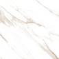 Statuario Brown Glossy 60x60 Modern Tile