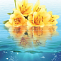 P2-2 Ocean flowers P2-2D240 Панно из 2-х плиток 30х40 Муза Керамика