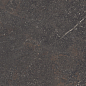 42912 Royal Brown SP/100X180/R 100x180 Peronda фото в миниатюре 12
