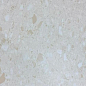 Chips Alberta Beige Matt Rect 60х120 Novin Ceram Yazd Tile Co фото в миниатюре
