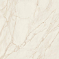 PF60015278 Tarsia Avorio Apuano Lux 3D Rett 120x120 Versace (Gardenia Orchidea)
