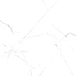 MOG101 полированный 60x120 Onlygres