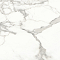 Invictus Natural 80x80 Baldocer