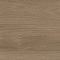 41729 Bloom Cognac SP/24x151x0,9/R 24x151 Peronda