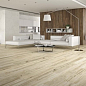 CAH4SPRNQDAA P.E. SPRINGWOOD MIEL MT RECT 23X120 STN Ceramica