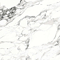 Bianco carrara PGVT 60x60 Casati Ceramica