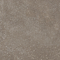 42811 Cosmos Chocolate SP/90X90X0,9/C/R 90x90 Harmony фото в миниатюре 9