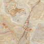 765410 Onyx&More Golden Onyx Glossy Ret 80x180 Casa Dolce Casa