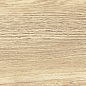 GP1560TAN01 Tanzania Crema матовый 151x602 New Trend
