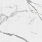 Statuario Fantastico Polished 60х120 Gravita