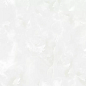 600901 Palizma Nano Polish Rect. 80x80 Amin Tile Co