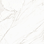 8080TRL00M Trend Line Calacatta матовый 800x800 LCM фото в миниатюре