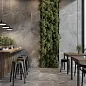 Rigel PrimaVera фото в миниатюре 2