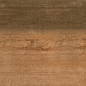 1200 CALDERA 40X120 Porcelanite Dos