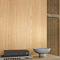 100355454 Xlight Cadore Wengue Nature 120х270 Porcelanosa фото в миниатюре 4