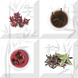 Decor (composicion) Set Aroma Fosker S/4 B 10x10 Absolut Keramika
