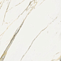600180000044 Stellaris Calacatta Gold Nat Ret 120x278 Italon