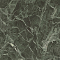 AHBL Anima Wonder Forest Lucidato 60x120 Caesar