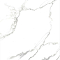 AB 1125G Statiario Titan gloss 600x600 Absolut Gres