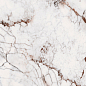 764084 Policroma Breccia Glossy 6mm 60x120 Cedit