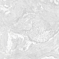 GT1206020306LGR Clementi Светло-серый лаппатированный 60x120 Global Tile
