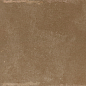 WT36ELR21 Elbrus Marron 300x600x9 New Trend