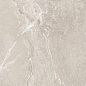 D60262M Wild Gold матовый 600x600x9.5 New Trend