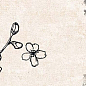 Tikko Decor Beige 30x90 El Molino