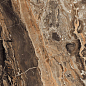 GR104 Richter Brown High glossy 600x600 PrimaVera