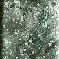 4101210 Dandy MR Green 5x25 41ZERO42