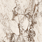 EBD1 Breccia Tortona Nat RT 60x120 Keope