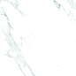 Teal Statuario 60x120 Realistik