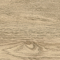 GP1560TAN11 Tanzania Beige матовый 151x602 New Trend