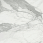 Invictus Natural 120x120 Baldocer