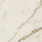 AGCJ Golden White Luc 120x278 Caesar фото в миниатюре 4