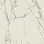 Anima Calacatta Oro Rett Lucidato 60*60*9,5 Caesar