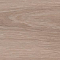 WD06 Branch Taupe 20x80 PrimaVera