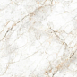 N20572 Glister Gold Carving 120x180 Neodom