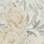 1006985 Oyster Decoro Rose Mix Ret 60х120 Isla Tiles