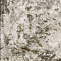 MN627BP261206 Frozen Fox Polished 6mm 120x260 Moreroom Stone