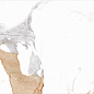Medici Gold Natural 60x120 Benadresa