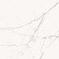 60120PFC15M Porfido Carrara матовый 600x1200x9.5 Delacora