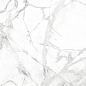 CR6014-A Diverso White Carving 60x60 Arcadia Ceramica фото в миниатюре 4