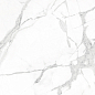 CR6014-A Diverso White Carving 60x60 Arcadia Ceramica фото в миниатюре 9