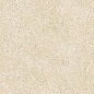 766624 Elemental Cream Sandstone Luc Ret 30x60 Cerim